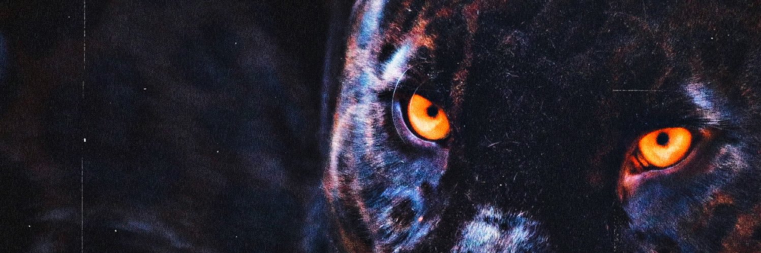 Theriotypical's profile banner image