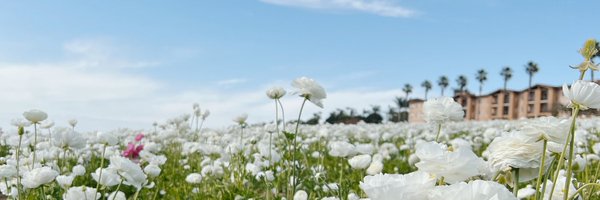 ManowsornsinM Profile Banner