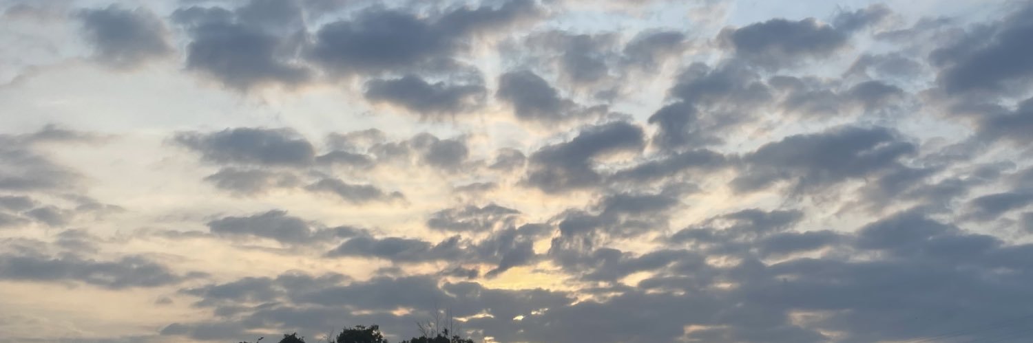 lihaauv's profile banner image