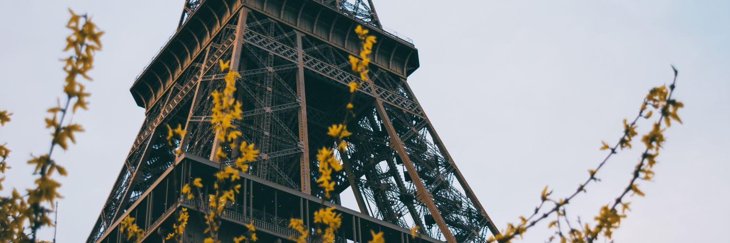 MoreStapic's profile banner image