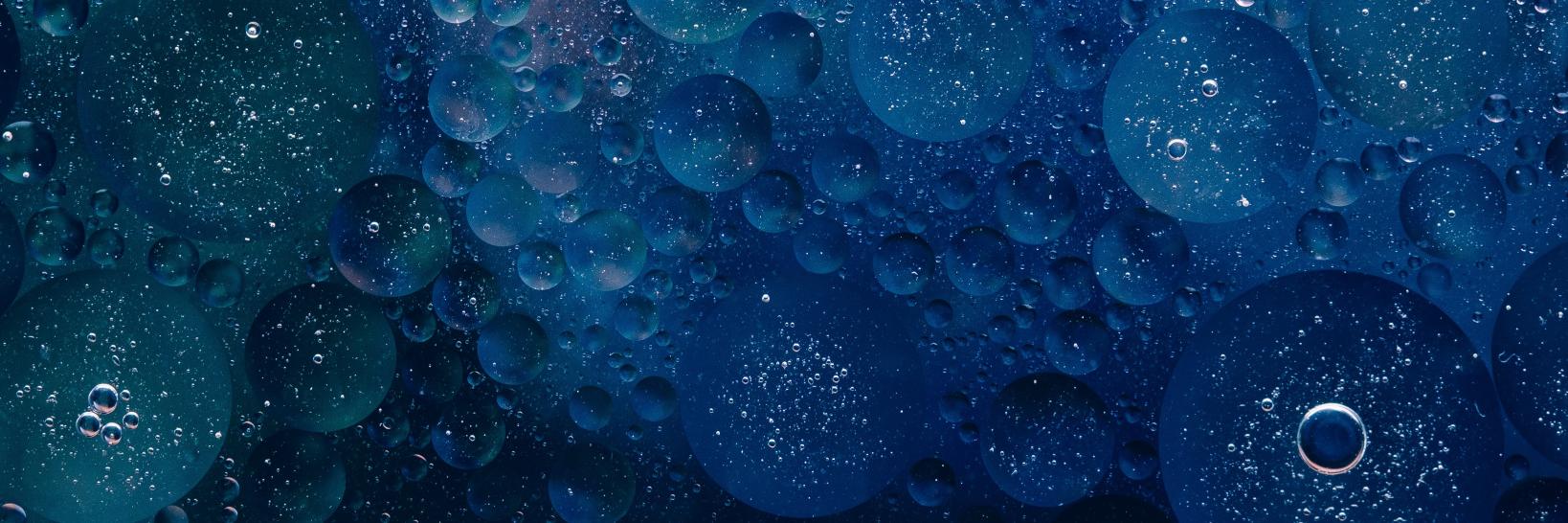 lesleywhite's profile banner image