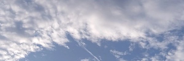 02octlonelyboy Profile Banner