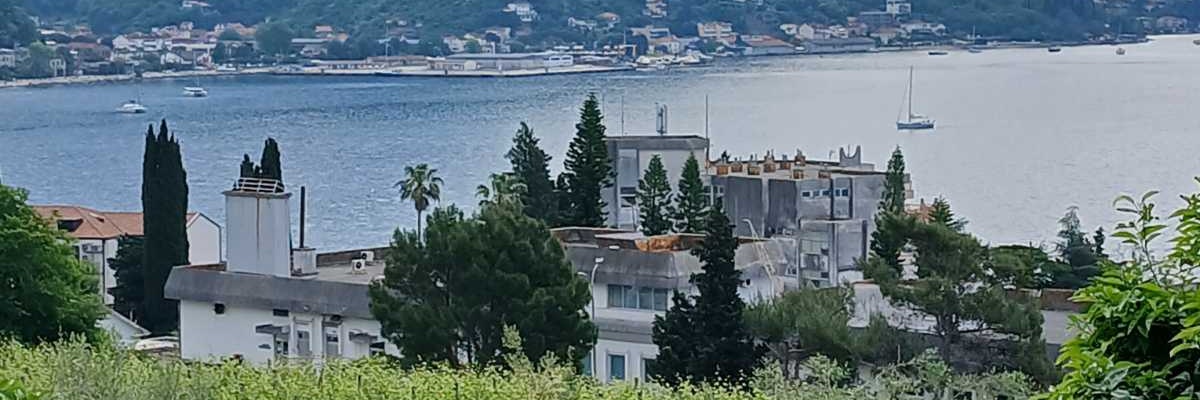 Dragan Mirilo banner