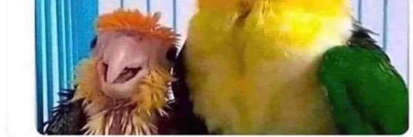 QuantumG Profile Banner