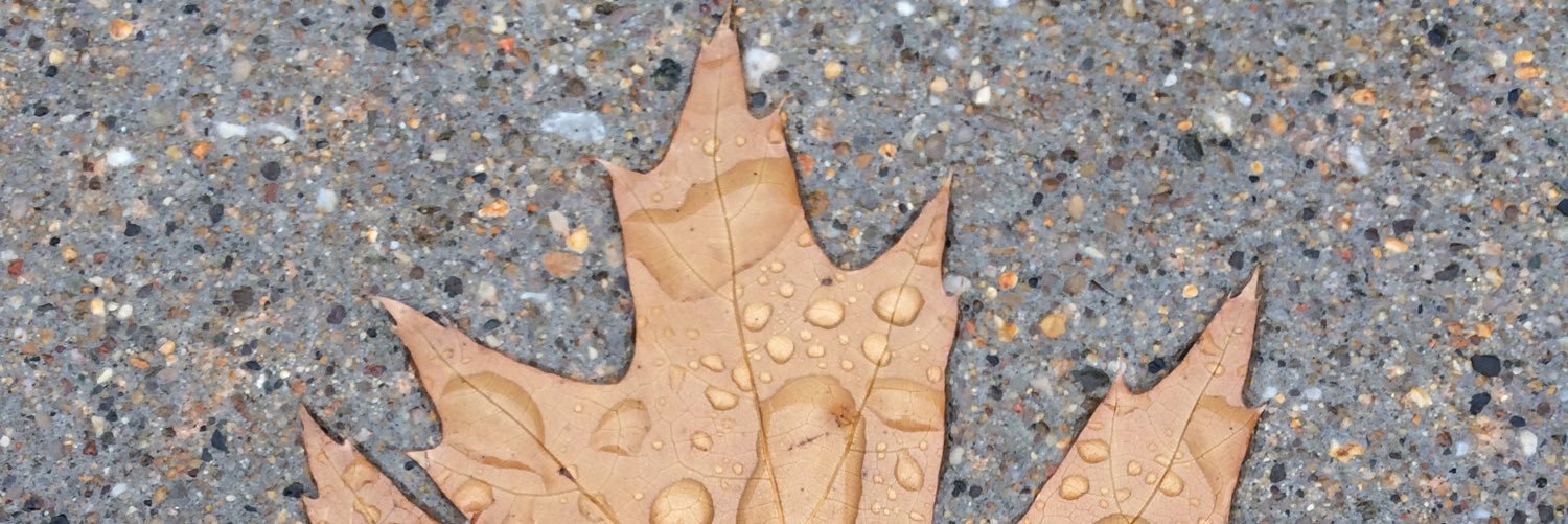 RealMark's profile banner image