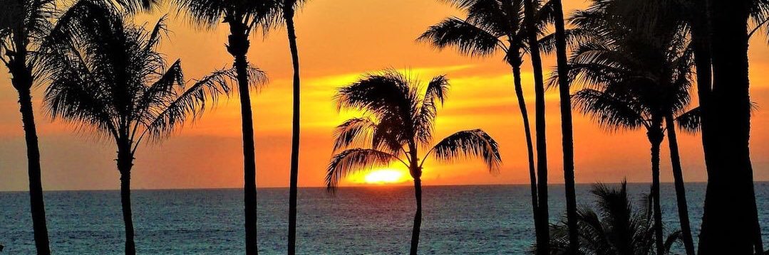 🇺🇸Markincali🇺🇸 banner