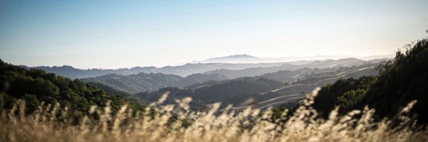 dropalltables Profile Banner