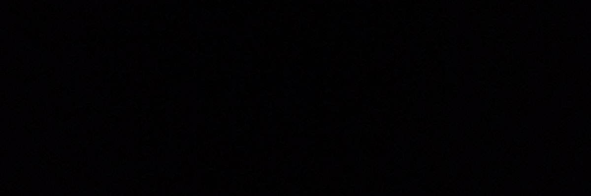 molly's banner