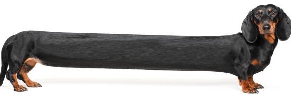 ( ͡° ͜ʖ ͡°) banner