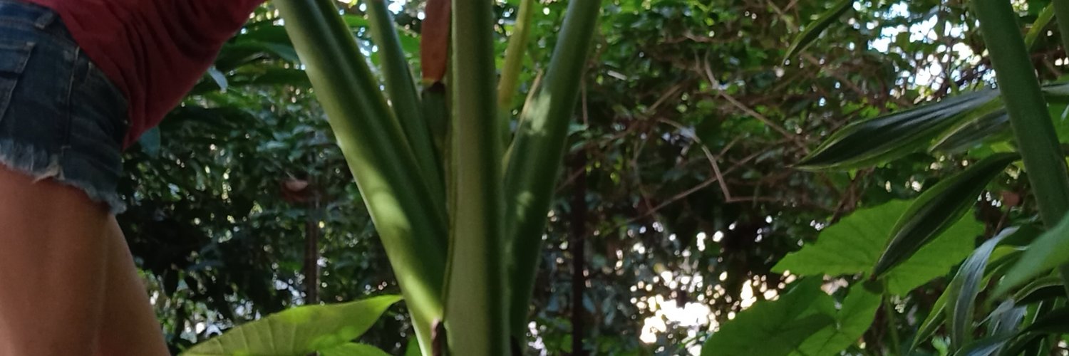 Crystal Holcomb banner