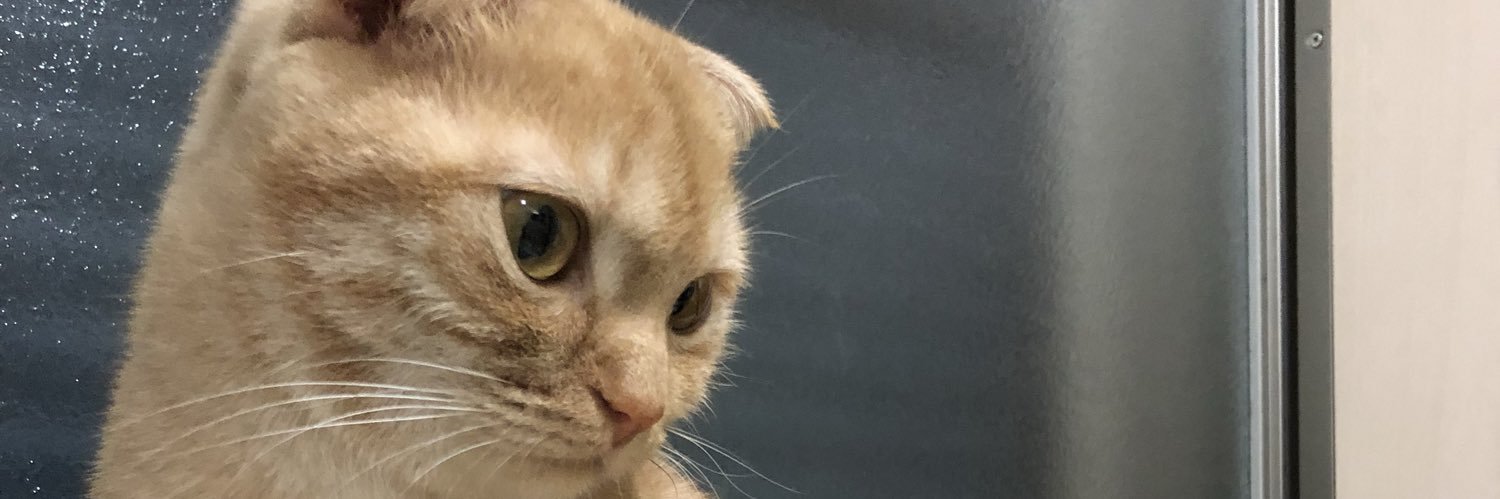 あおびっち banner