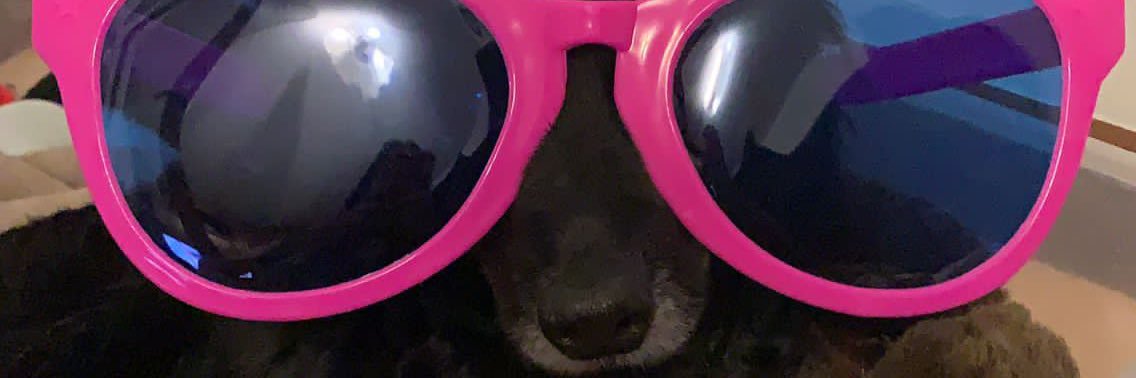 trozzypto's profile banner image