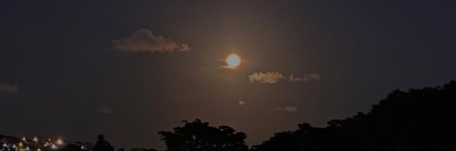 thaís 🦁🥂 banner