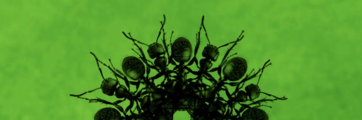Paras1te3's profile banner image