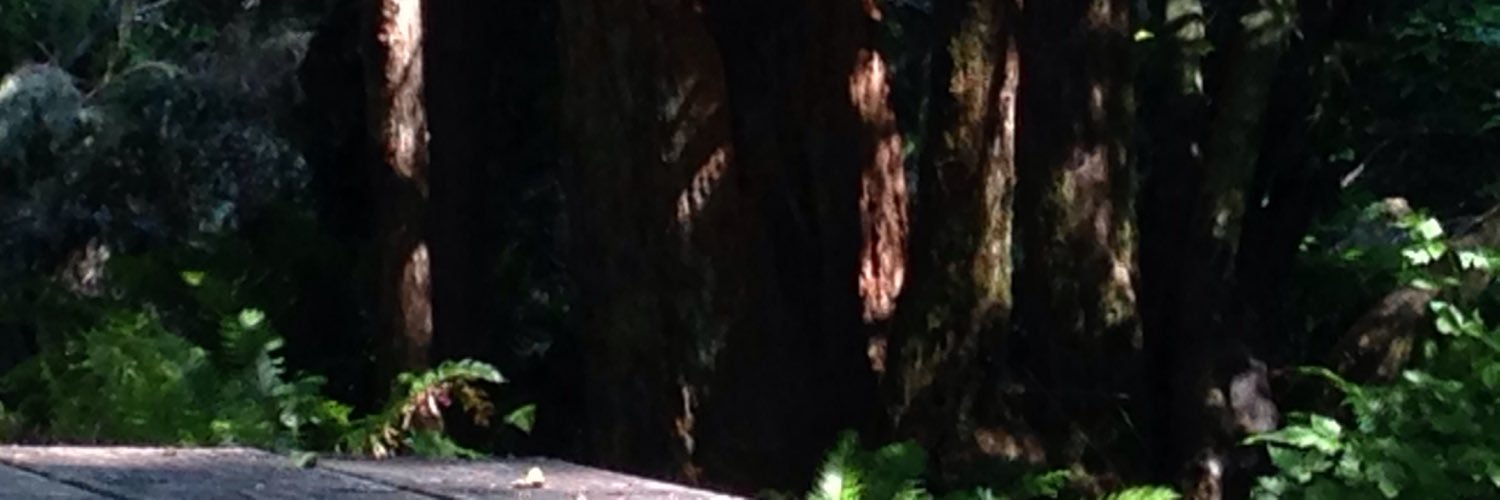 meredith makes things banner
