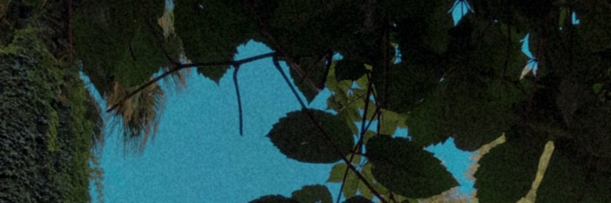 bengusu96's profile banner image