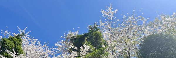 semendemun Profile Banner