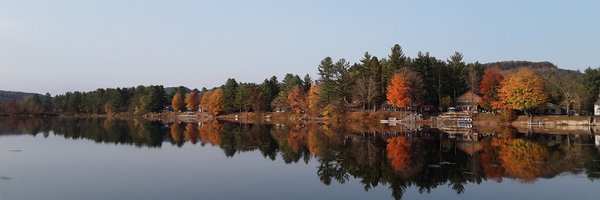 lostmybean Profile Banner