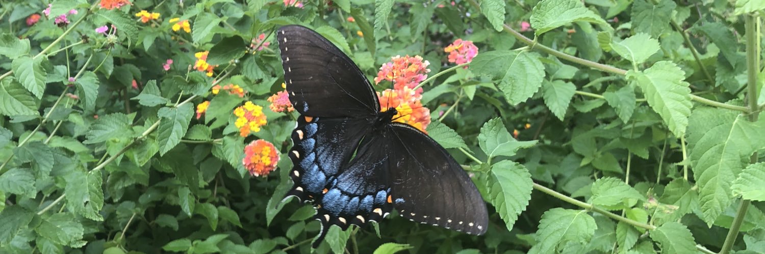 Oreoluwa Badejoh🇳🇬 banner