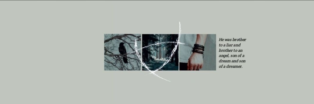 GreywarenVeni's profile banner image
