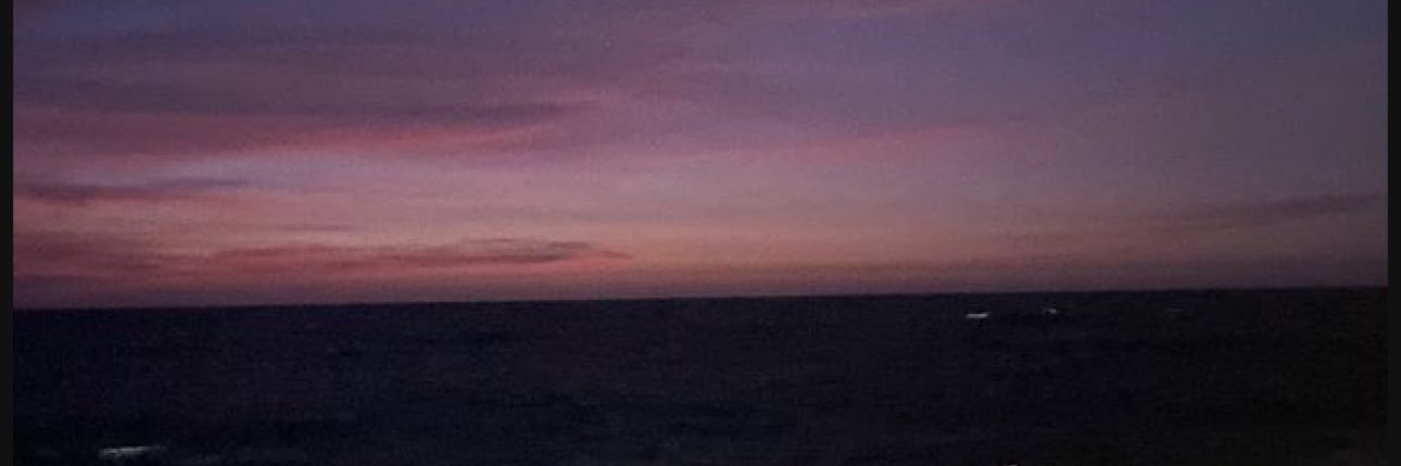 ⋆.˚ 🦢 ⋆.˚ banner