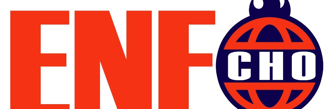 ENFO CHO AYITI banner