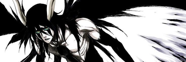 FV17 banner