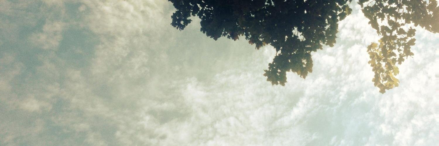 robb chen-ware banner