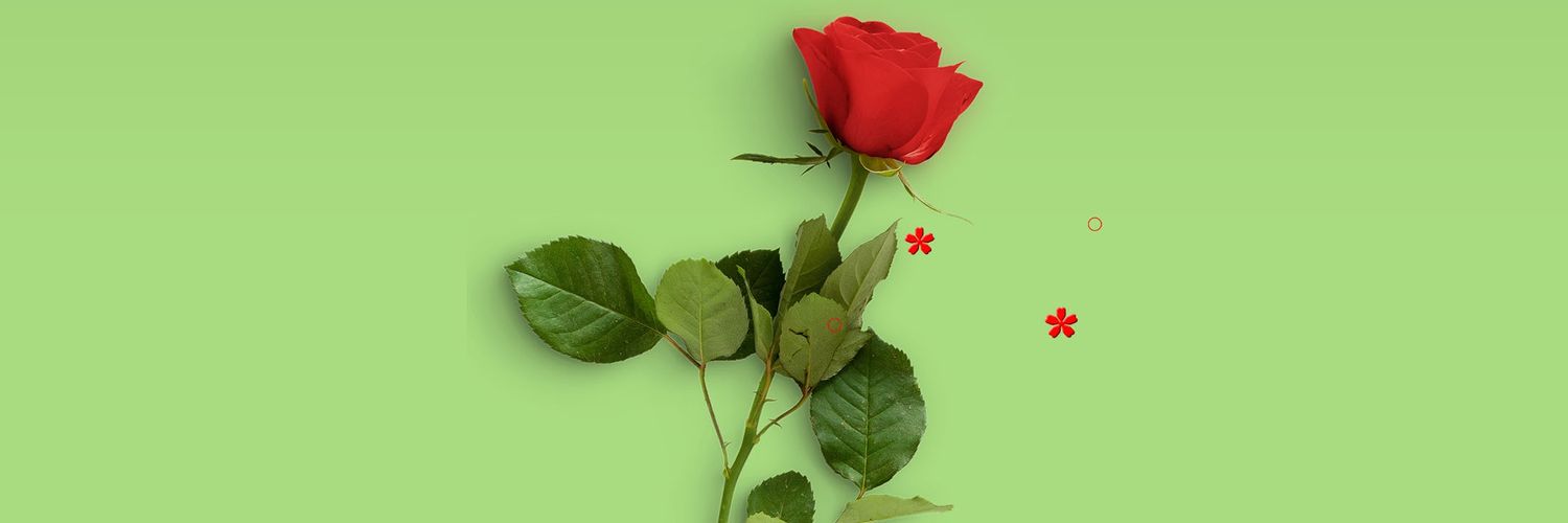 yalcinyhem's profile banner image