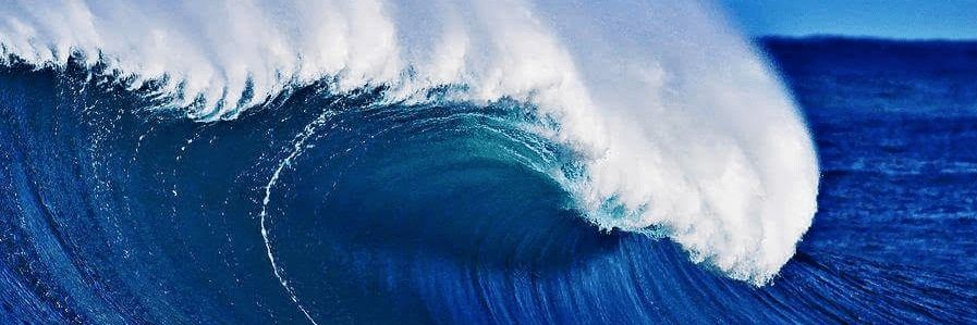 DillyFillyNilly banner