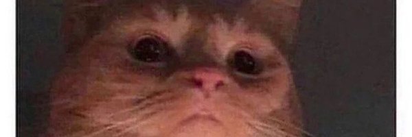 darkmagicalman0 Profile Banner