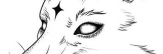 FireWolfDean's profile banner image