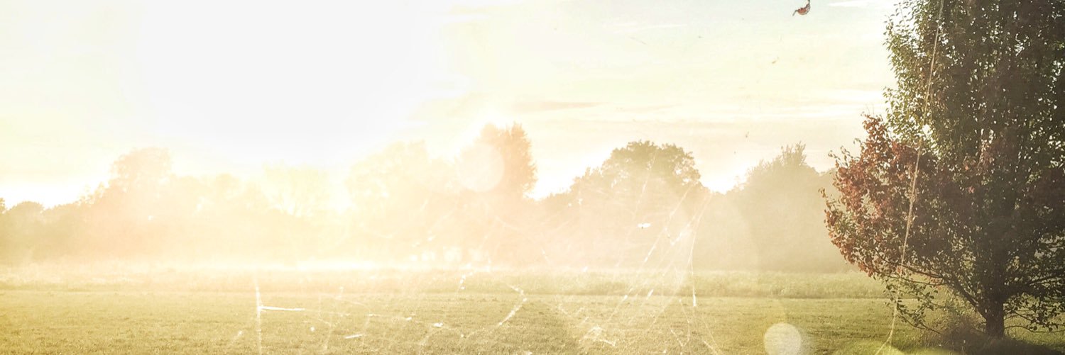 soccerlime's profile banner image