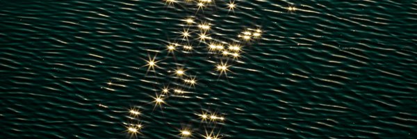 wwwdotnekomata Profile Banner