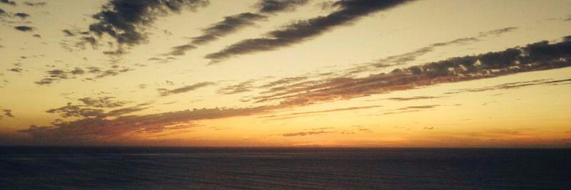 pilaralemany2's profile banner image