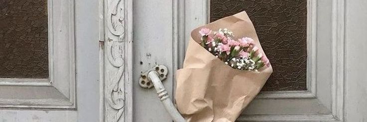 ؘ‍ ͏ ͏ ͏͏ ͏ ͏ ͏ 𝓵ucy 𝒘. banner