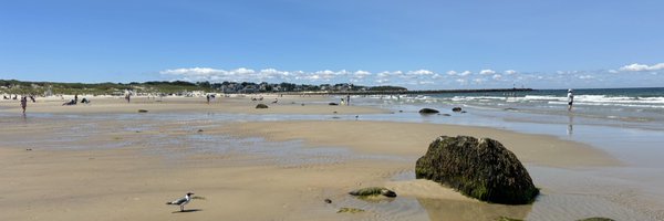 billswallow Profile Banner