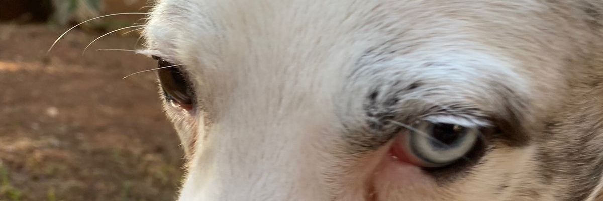 scot_D1's profile banner image