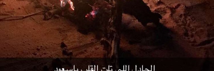 saod112234's profile banner image