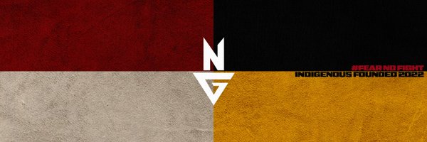 NativeGaming Profile Banner