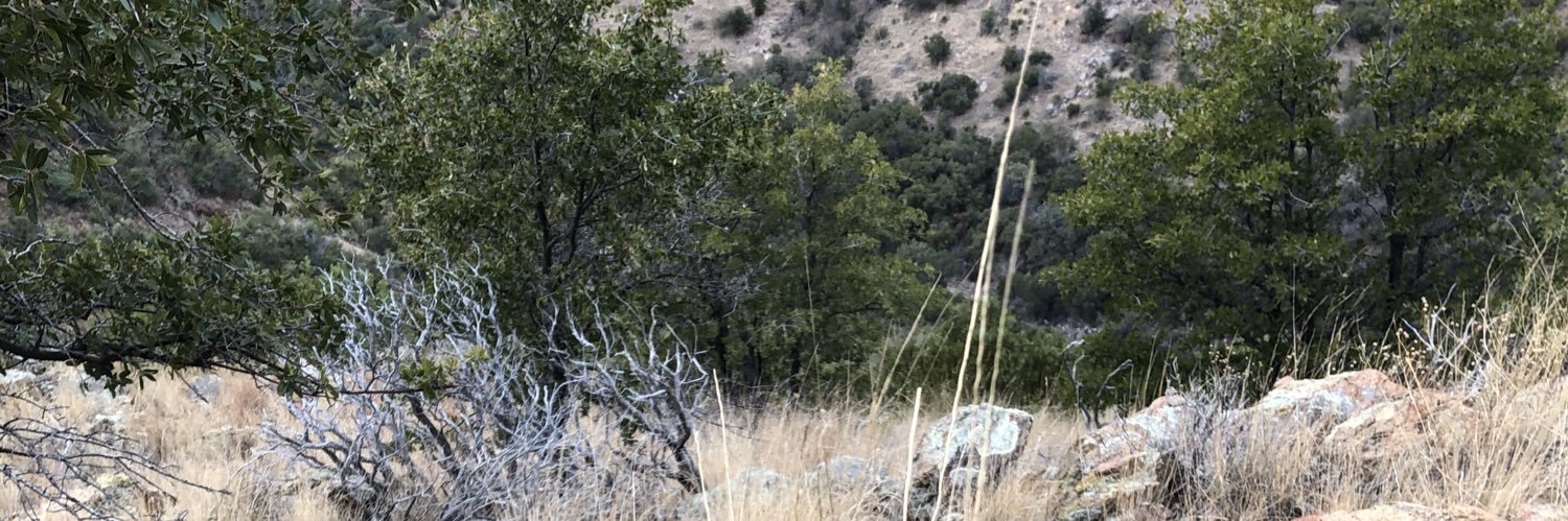 parkerdaleking's profile banner image