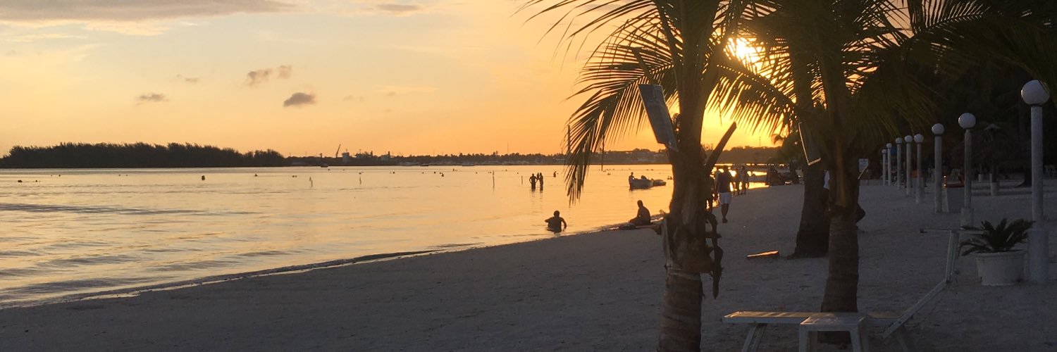 Michael Premo banner