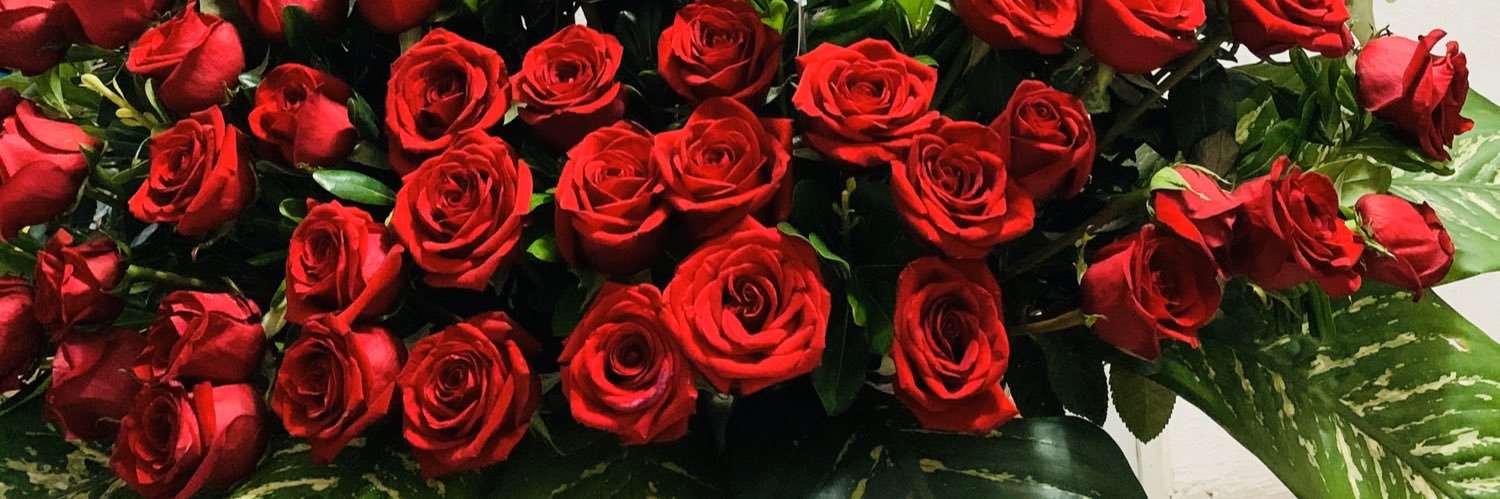 dianalezcano's profile banner image