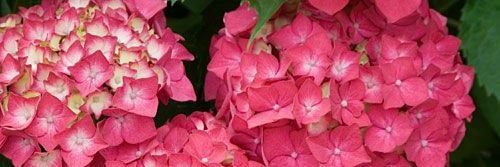 marbe68's profile banner image