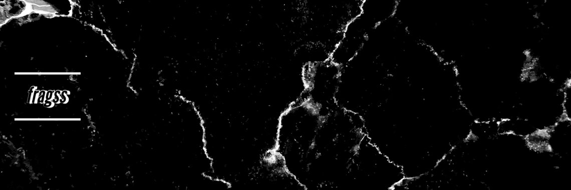 fragss banner