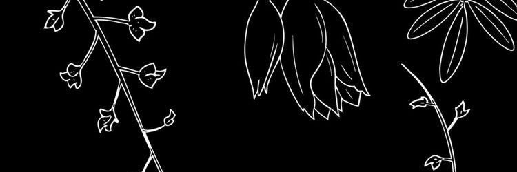 Andrevaldearena's profile banner image
