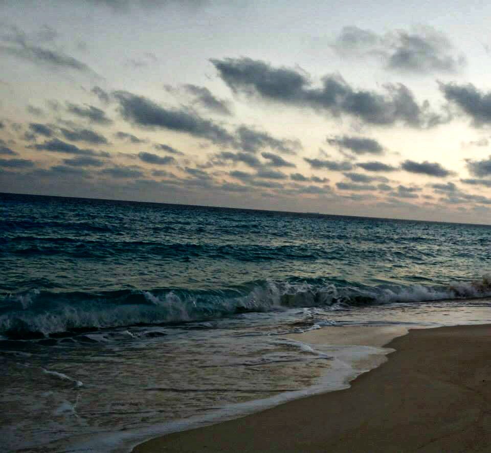 farida_negm's profile banner image