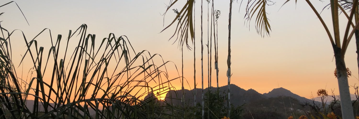 pericaza's profile banner image