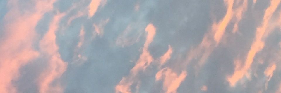 nycatino's profile banner image