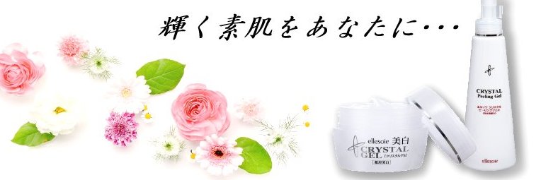 ellesoie's profile banner image
